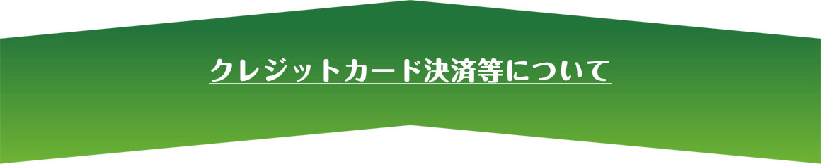 クレジットカード決済等について