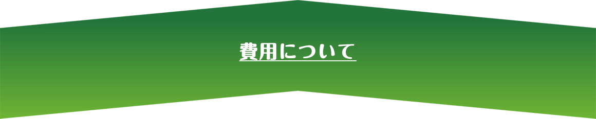 費用ついて